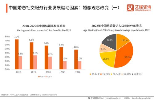 2024-2025年中國婚戀社交服務(wù)市場研究報(bào)告